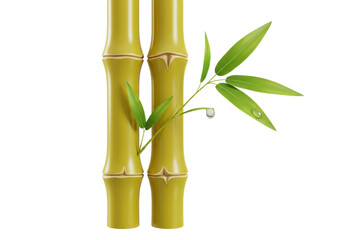 Fototapeta premium Isolated pair of bamboo canes with fresh green leaves and water droplets close up