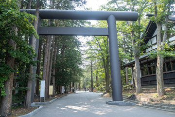 Traditional torii gate at entrance to forest shrine pathway in Japan at Shinto Shrine, Sapporo, Hokkaido, Japan