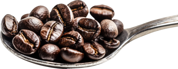 coffee beans in a spoon