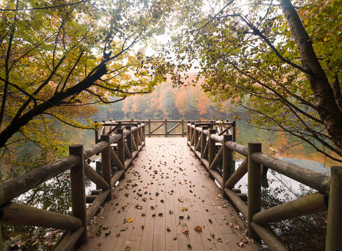 Autumn at the wooden lake pier. A wonderful real photo for a sense of peace and tranquility. Yedig&ouml;ller, Turkey 