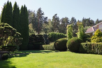 Formal summer garden design featuring manicured topiary hedges, green lawn, landscaping elements, and dense foliage
