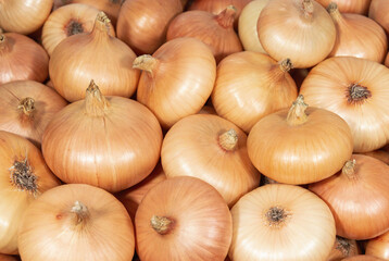 Onion bulbs with brown peel background
