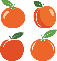 Four vibrant orange fruits with green leaves depicted in a clean simple illustration style