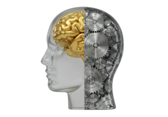 Human head with golden brain and gears isolated, artificial intelligence concept for technology and engineering 3D rendering