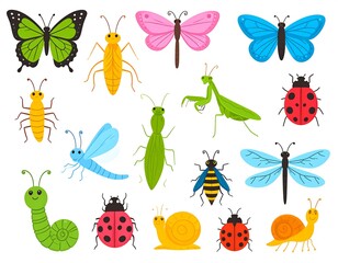 Collection of diverse and colorful insect illustrations on white background