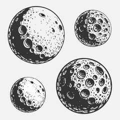 Vector art of moon phases