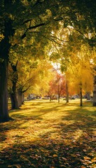 Naklejka premium Stunning autumn park scene with vibrant foliage, soft sunlight, and a tranquil fall atmosphere