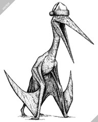 Vintage engraving christmas isolated pterosaur set illustration pterodactylus ink santa costume sketch. Flying dinosaur background silhouette Jurassic new year hat art. Hand drawn vector image
