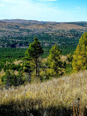 view of the autumn forest from the top of a low mountain, southern Urals