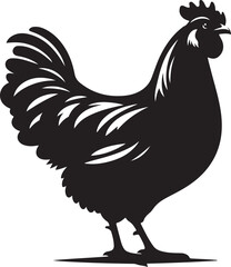 Silhouette of a proud rooster standing with tail feathers spread
