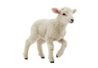 Adorable white lamb isolated on transparent background, cute baby sheep animal for spring and Easter designs PNG