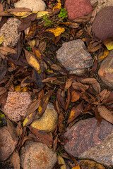 An autumn park in October. Yellow and red trees with falling leaves.