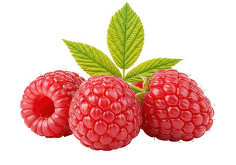 Three ripe raspberries with leaves isolated on transparent PNG, fresh red berries for healthy eating and summer fruit concepts