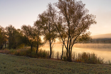 Magical autumn scenery in the Republic of Moldova, with golden forests and peaceful Eastern European charm