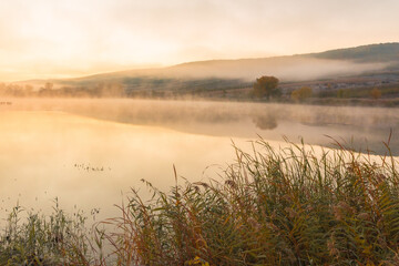 Magical autumn scenery in the Republic of Moldova, with golden forests and peaceful Eastern European charm