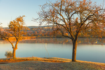 Fototapeta premium Magical autumn scenery in the Republic of Moldova, with golden forests and peaceful Eastern European charm