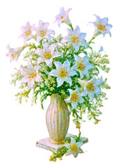 White lilies on the white background