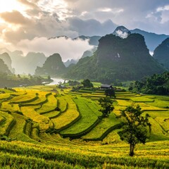 Terraced Rice Fields in Vietnam - A Breathtaking Landscape.