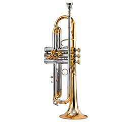 Fototapeta premium A shiny brass trumpet showcasing craftsmanship and musical artistry.