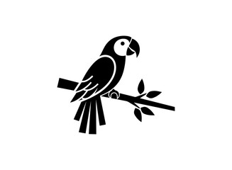 Black parrot sitting on a branch