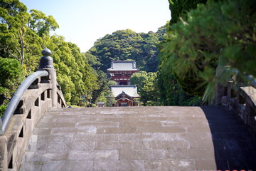 石畳の階段と橋の欄干が手前にあり木々の緑の奥に朱色の楼閣が鎮座する神社の境内を望む日本の和風の風景