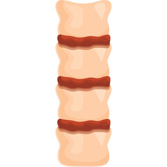 Vertebral column illustration showing stacked bone segments with reddish intervertebral discs against a white background medical diagram