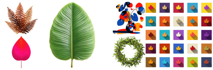 Collection of Diverse Plant Elements, Including Natural Leaves, Wreaths, and Colorful Maple Leaf Icons, all displayed on transparent background