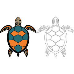 Obraz premium Sea Turtle Illustration with Color and Outline Version animal marine ocean wildlife reptile drawing vector
