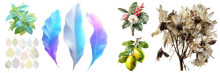 Beautiful collection of diverse floral and botanical elements, featuring fresh, vibrant, and dried specimens on transparent background