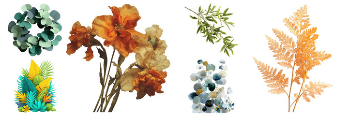 Beautiful assortment of floral elements including orchids, eucalyptus, and ferns against a black backdrop, provided on transparent background.