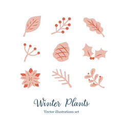 冬の植物セット