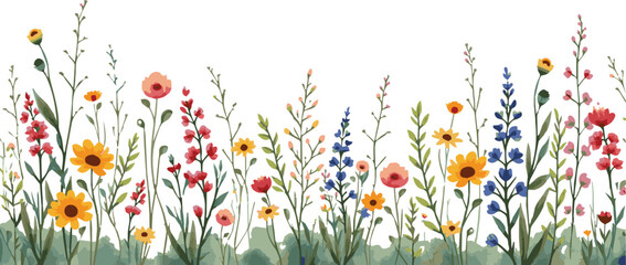 Watercolor floral seamless pattern with colorful wildflowers, plants, and grass. Isolated panoramic horizontal meadow border in vintage style.