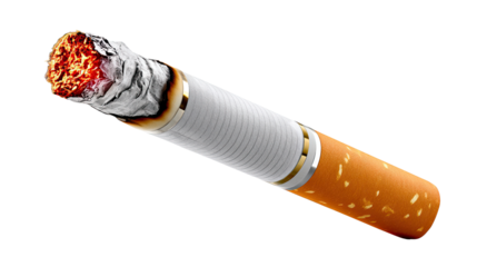 Burning Cigarette: The photo of a single, lit cigarette, revealing the glowing ember, smoke curling gently as it consumes the paper and tobacco.