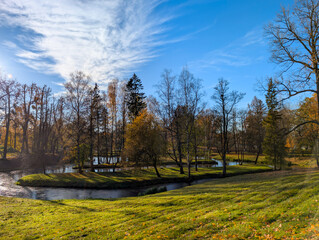 Beautiful autumn landscape on a sunny day in a park 
