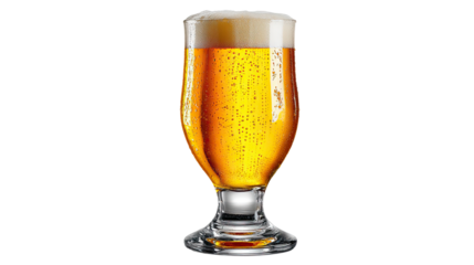 Golden Brew: A close-up shot of a refreshing golden ale in a classic beer glass, with visible bubbles and a frothy head, promising a moment of pure relaxation and satisfaction.