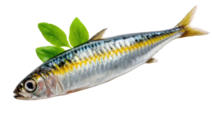 Oceanic Gem: A shimmering fish with vibrant details, accented by fresh green leaves. This photo presents a striking showcase of nature's bounty and culinary excellence.