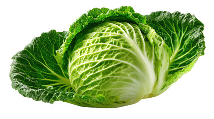 Fototapeta premium Fresh Cabbage: This captivating shot of a vibrant, verdant cabbage, captures the natural beauty and freshness of this staple food. Its crinkled leaves form a perfect circle. 