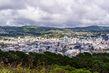Wellington City View from Mount Victoria, Surrounded by Green Hills.