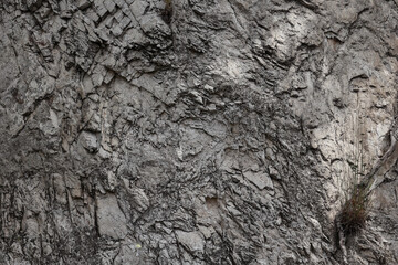 A Detailed Close-Up Of A Weathered Gray Rock Formation, Creating A Grungy And Abstract Natural Stone Background.