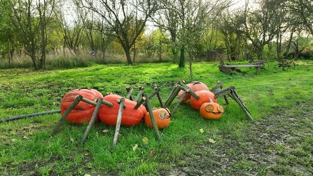 Halloween witch pumpkin monster ant dummy garden pismire creepy doll park smiling carved autumn fall are burning dark dolly night carved scary harvest jack o lantern flaring glowing celebration