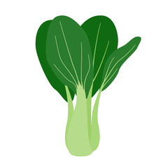 青梗菜のシンプルなイラスト
