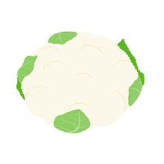 カリフラワーのシンプルなイラスト
