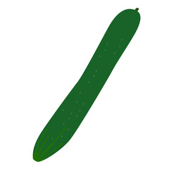 きゅうりのシンプルなイラスト