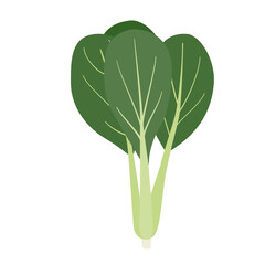 小松菜のシンプルなイラスト