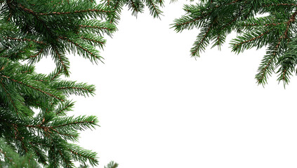 Pine branches frame a dark space