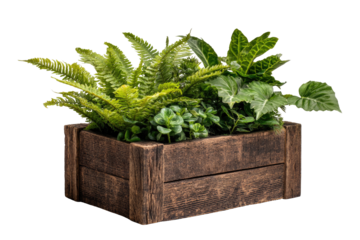Wooden planter box filled with lush greenery