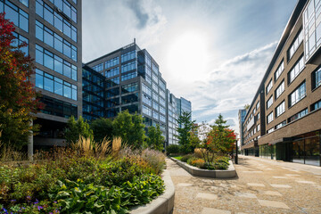 Office center of the city with high-rise buildings for company employees. Modern architecture, glass houses in the business center. Elements of greenery in the streets of the city.