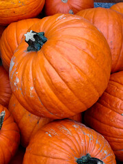 Pumpkins in a box, autumn fruit and Halloween decoration.
