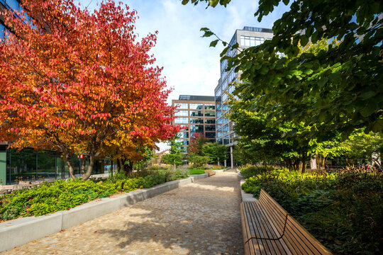Tall office buildings in the center of a modern city. Business park with sidewalks and greenery. Orange leaves on an autumn tree.