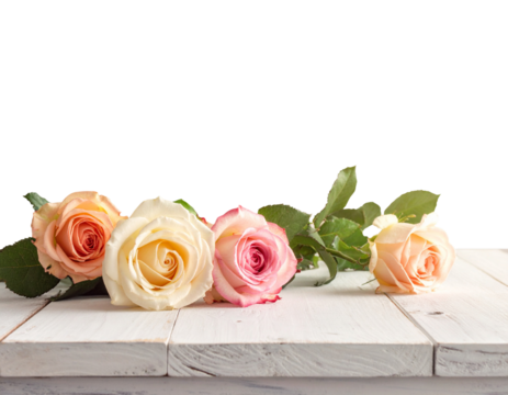 bouquet of roses on a table with copy space for text isolated on transparent background, PNG file